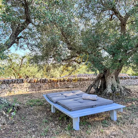 Td Trulli Locobello Stylish & Cozy Trulli With Pool Martina Franca